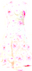 Chloe Paris. White, Pink Floral Silk/PolyTech/Cotton Dress