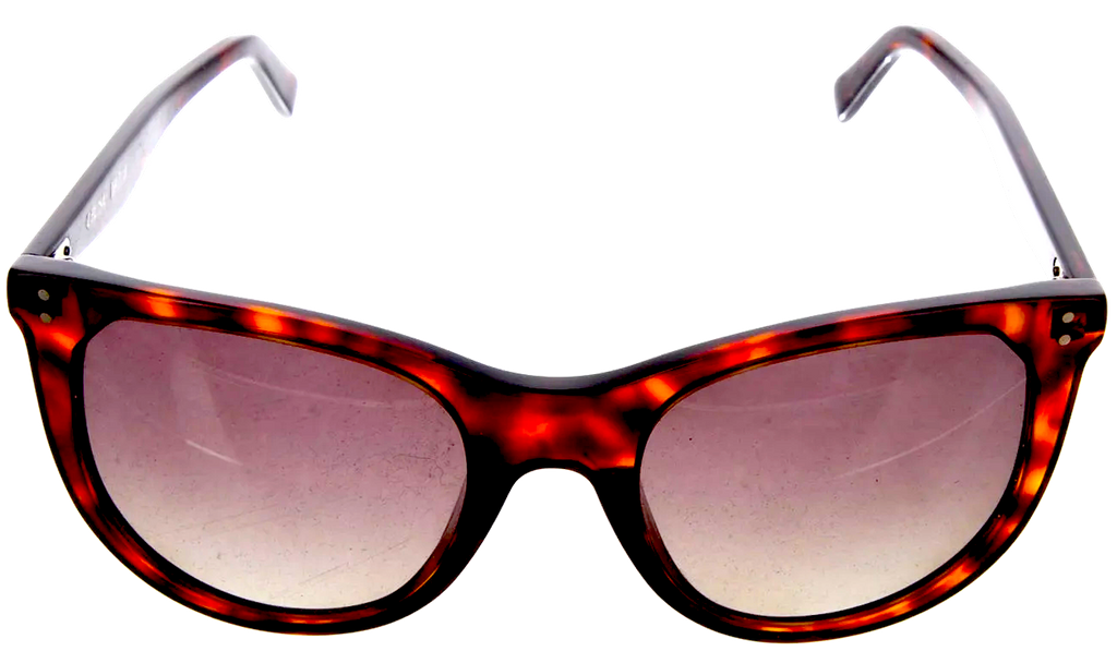 CELINE Paris. Vintage Heidi Slimane Oversize Gradient Sunglasses